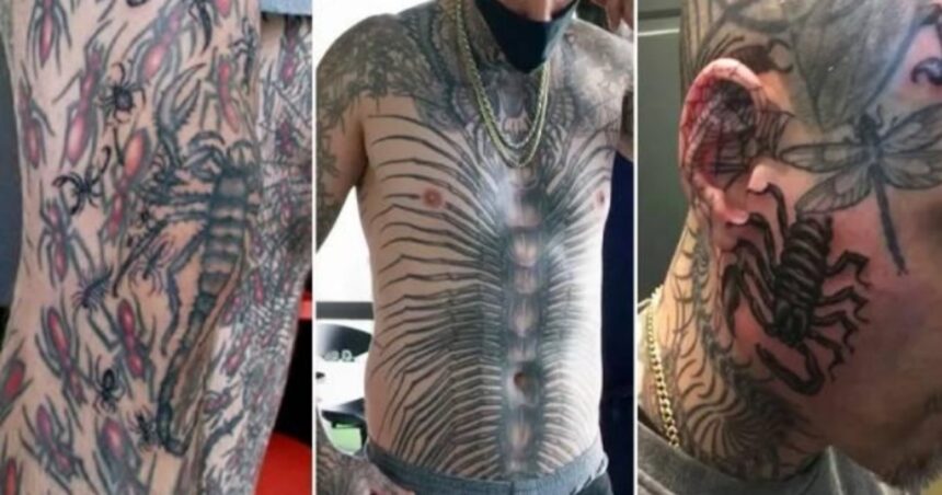 Tiene 864 tatuajes de insectos y en realidad odia a los insectos Tiene 864 tatuajes de insectos y en realidad odia a los insectos