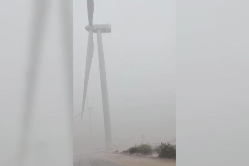 Fuertes ráfagas de viento se registran en el Departamento Arauco Fuertes ráfagas de viento se registran en el Departamento Arauco