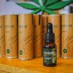 Coordinan la distribución del aceite de cannabis para uso médico