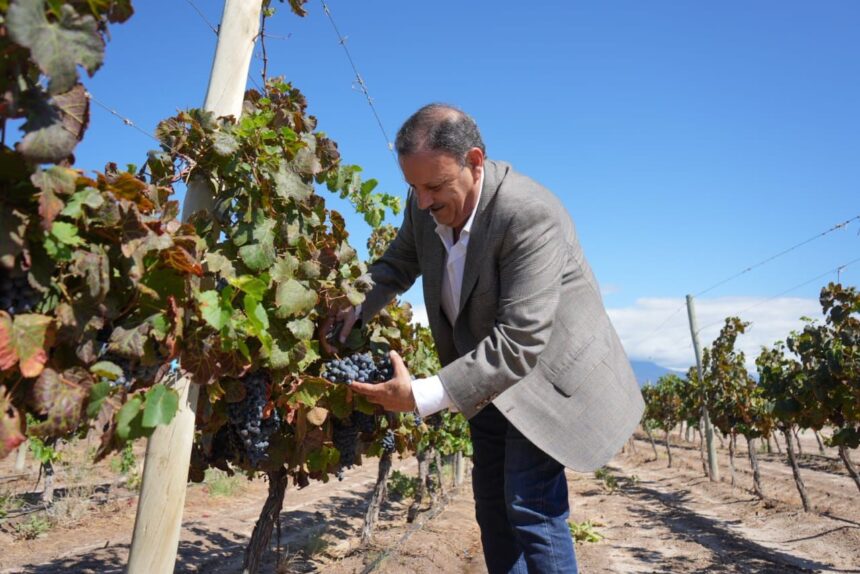 El gobernador Ricardo Quintela participó del inicio de la Vendimia 2024 en Aminga El gobernador Ricardo Quintela participó del inicio de la Vendimia 2024 en Aminga