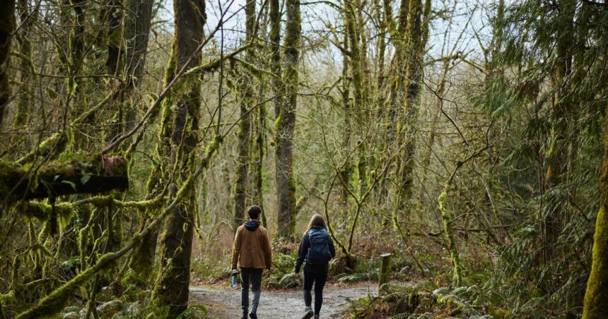 Los terapeutas cambian el sofá por el aire libre Los terapeutas cambian el sofá por el aire libre