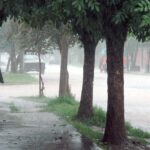 Tras el temporal, dieron a conocer los registros de lluvias en la provincia