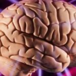 ¿Qué pasa en el cerebro cuando sentimos miedo?: lo que dice la ciencia