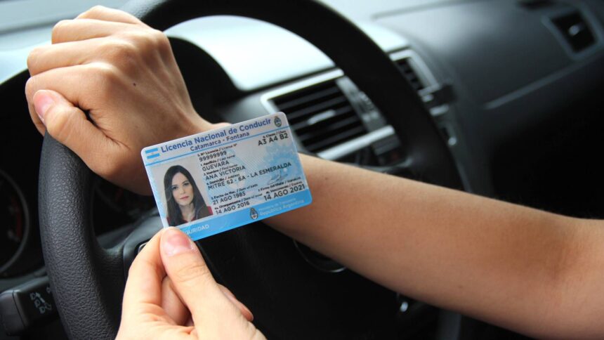 En La Rioja las licencias de conducir se emiten con total normalidad En La Rioja las licencias de conducir se emiten con total normalidad