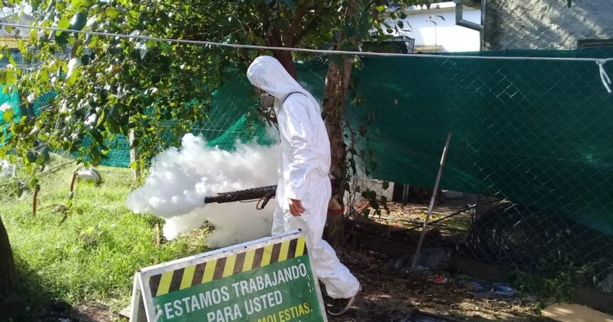 Dengue: preocupa  la suba de casos en el Oeste y refuerzan la fumigación