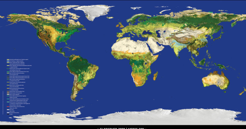 ¿Cuáles son los países con mayor mortalidad del mundo? ¿Cuáles son los países con mayor mortalidad del mundo?