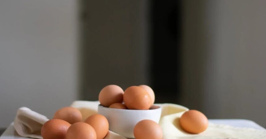 Huevos: cuánto aumentó en el último año