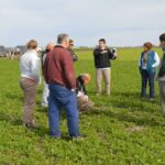 Cómo atraer y sostener talentos en las empresas agropecuarias modernas