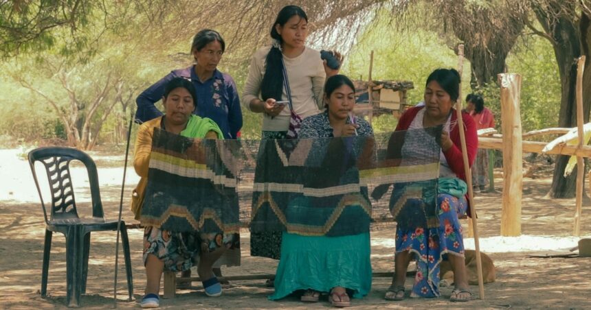 Chaguar, del monte salteño al mundo