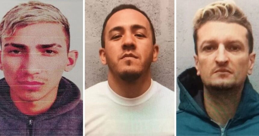 Fuga en Berazategui: tres presos se escaparon de una alcaidía y son buscados por la Policía Fuga en Berazategui: tres presos se escaparon de una alcaidía y son buscados por la Policía