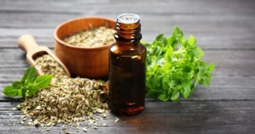 Cómo aprovechar los preparados con orégano para proteger el corazón y regular la hipertensión Cómo aprovechar los preparados con orégano para proteger el corazón y regular la hipertensión