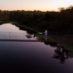Artes electrónicas desde el corazón del monte nativo