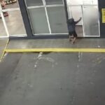 En tres segundos y a sangre fría, así un sicario mató a un playero en Rosario
