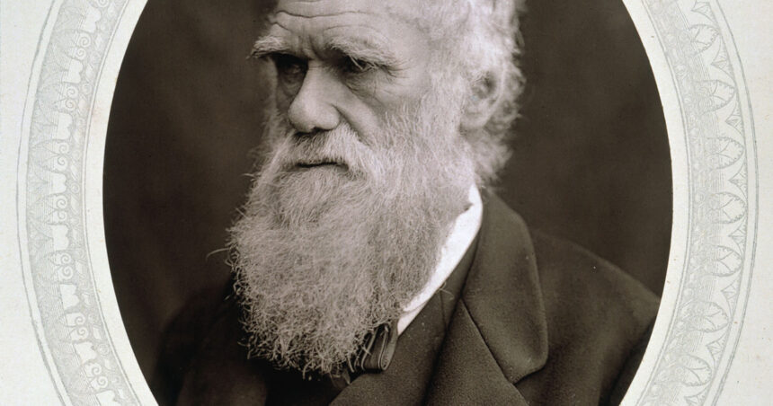 Un sitio permite navegar por todos los documentos y libros de Darwin Un sitio permite navegar por todos los documentos y libros de Darwin