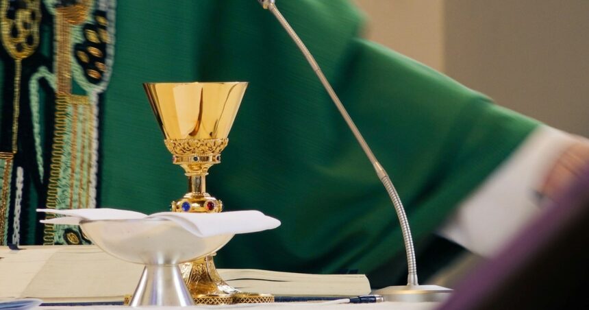 Qué pecados pueden absolver Misioneros de la Misericordia del papa Francisco Qué pecados pueden absolver Misioneros de la Misericordia del papa Francisco
