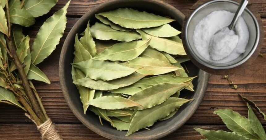 La sorpresiva y efectiva aplicación del bicarbonato de sodio y el laurel en tu casa