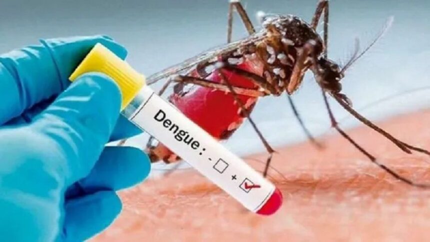 La vacuna contra del dengue “no sirve para frenar brotes ni evitar contagios”