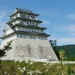 Venden un enorme castillo a un precio que es casi un regalo