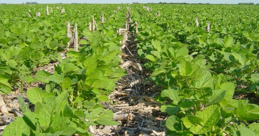 Reivindicación de la molécula con mayores beneficios para la agricultura Reivindicación de la molécula con mayores beneficios para la agricultura