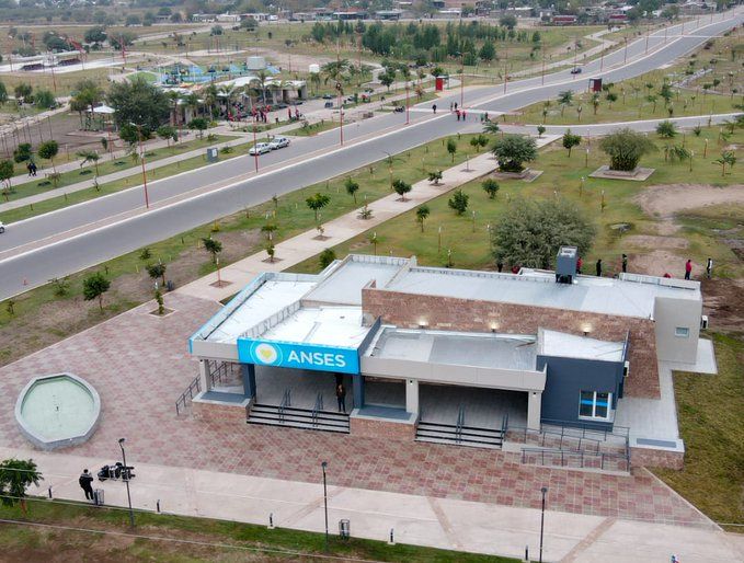 ANSES: La motosierra llegó a La Rioja ANSES: La motosierra llegó a La Rioja