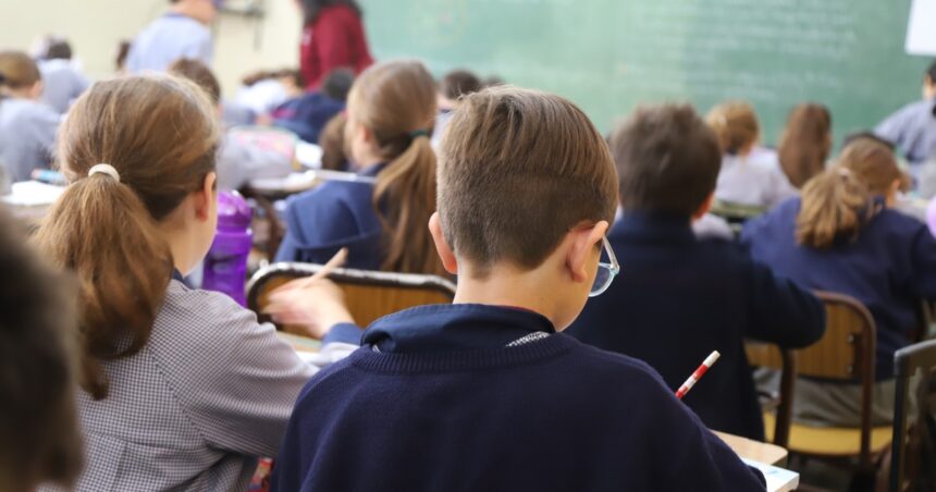 Le dicen voucher, es un paliativo