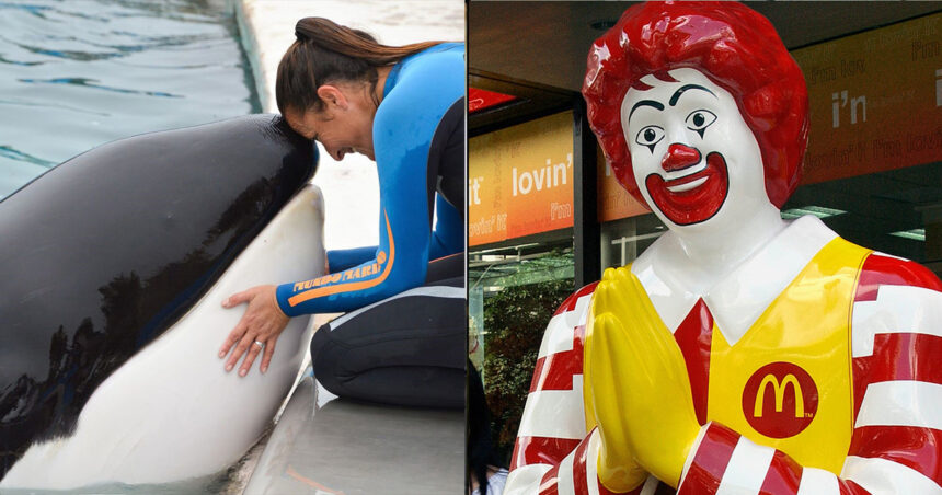 Qué une a la Fundación Mundo Marino con la Casa de Ronald McDonald: algo incómodo de explicar