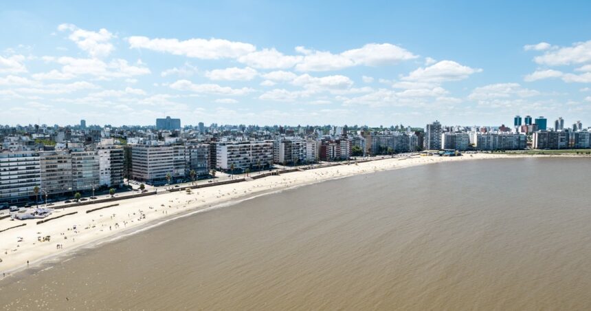 48 horas en Montevideo: circuitos, paseos y propuestas para comer o tomar algo 48 horas en Montevideo: circuitos, paseos y propuestas para comer o tomar algo