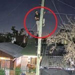 Video: trepó a un poste de luz para robar cables y lo detuvieron infraganti