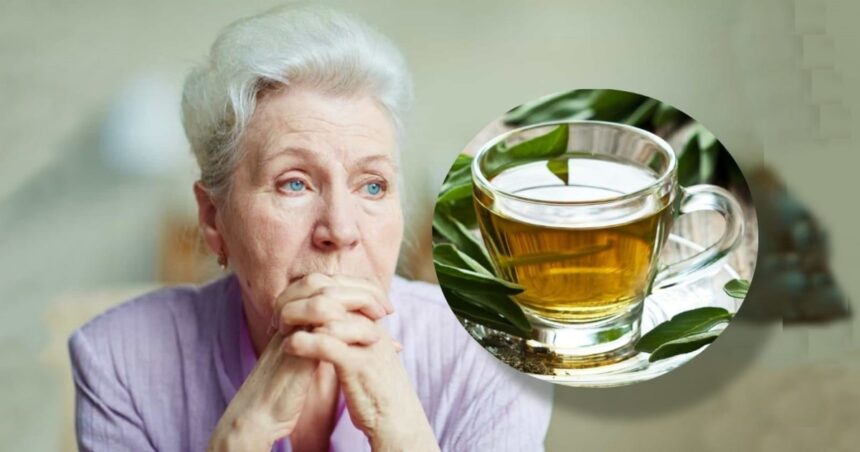 Cómo tomar té de salvia para cuidar el cerebro y mejorar la memoria Cómo tomar té de salvia para cuidar el cerebro y mejorar la memoria