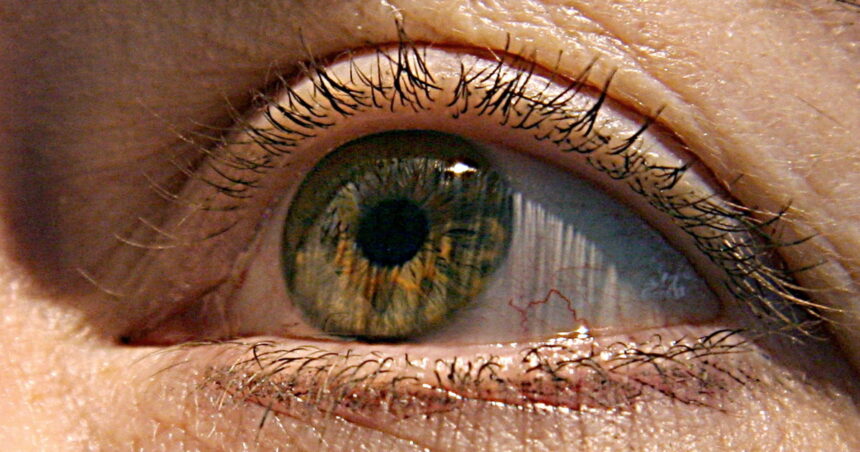 Hay algo en tus ojos que puede revelar si estás en riesgo de muerte prematura