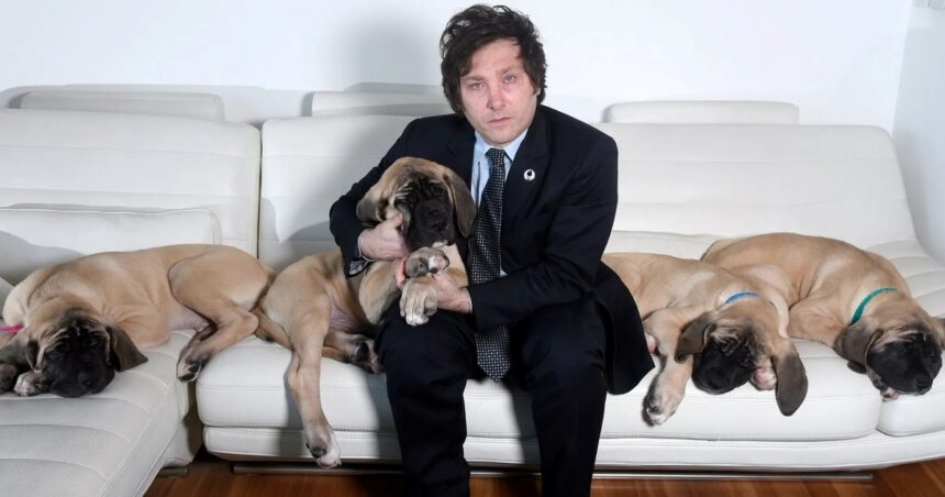 Javier Milei contó cuál de sus “hijos de cuatro patas” se parece más a él por su personalidad Javier Milei contó cuál de sus “hijos de cuatro patas” se parece más a él por su personalidad