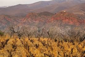Tendremos un invierno cálido en La Rioja Tendremos un invierno cálido en La Rioja