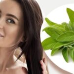 Cómo usar la salvia para fortalecer el pelo y cubrir las canas