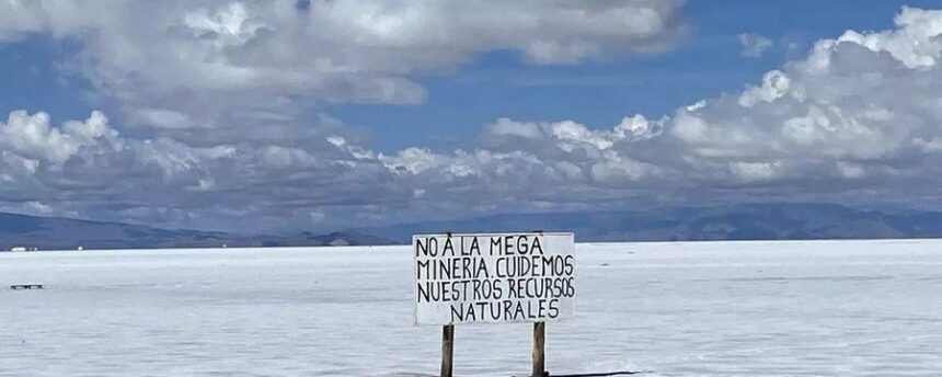 Cinco mineras concentran casi un millón de hectáreas de salares, un ecosistema clave