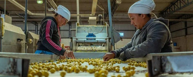 El tarifazo golpea a la industria olivícola y el sector presentará un recurso de amparo