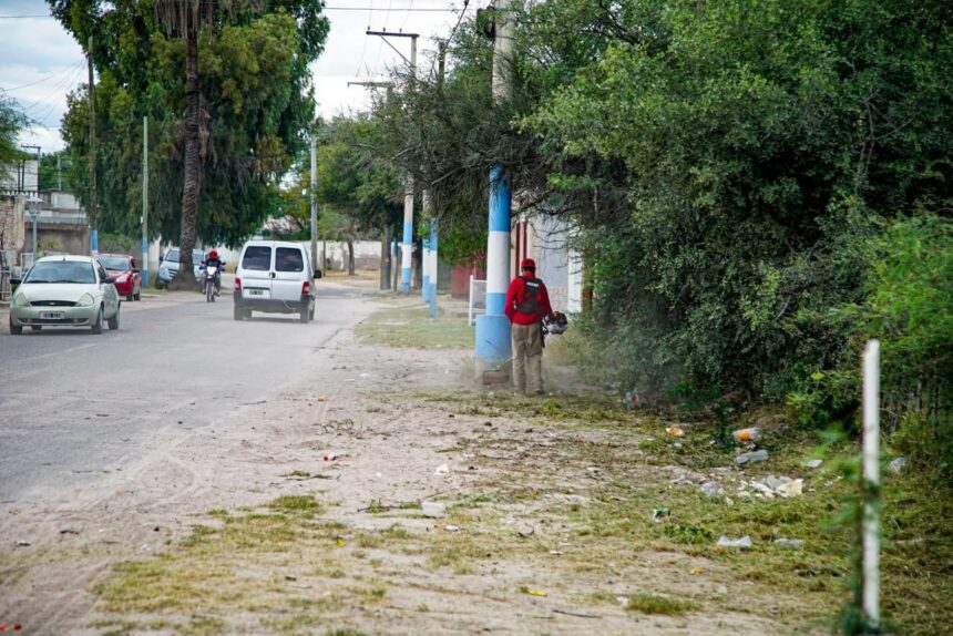 Intensifican operativos de descacharreo, fumigación y desmalezamiento en la ciudad Intensifican operativos de descacharreo, fumigación y desmalezamiento en la ciudad