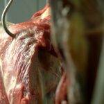 Fuerte incremento interanual de las exportaciones de carne vacuna