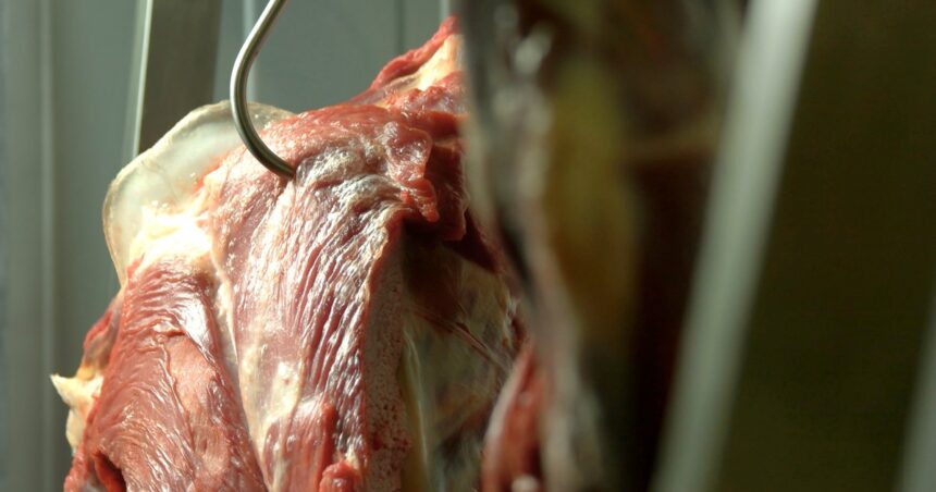Fuerte incremento interanual de las exportaciones de carne vacuna Fuerte incremento interanual de las exportaciones de carne vacuna