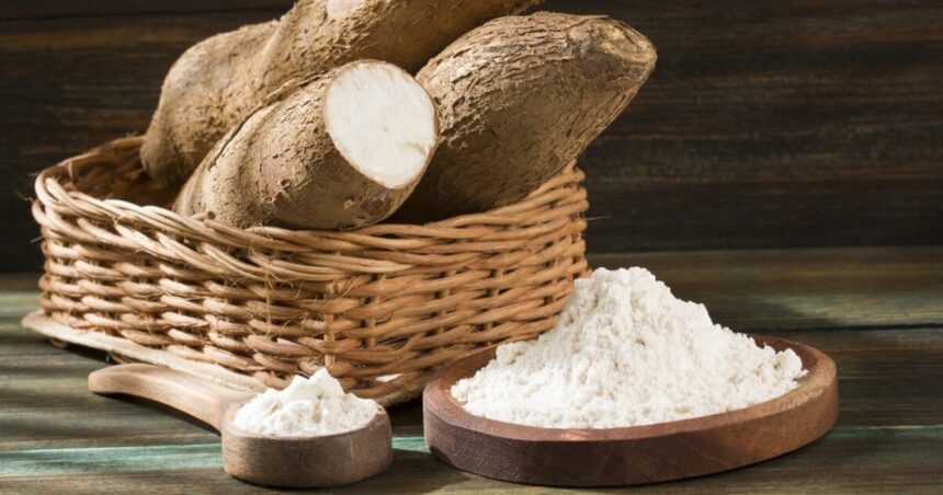 Qué beneficios tiene la cáscara de la yuca o mandioca Qué beneficios tiene la cáscara de la yuca o mandioca
