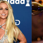 Britney Spears, fascinada con un vino argentino: cuál es y qué dijo al probarlo