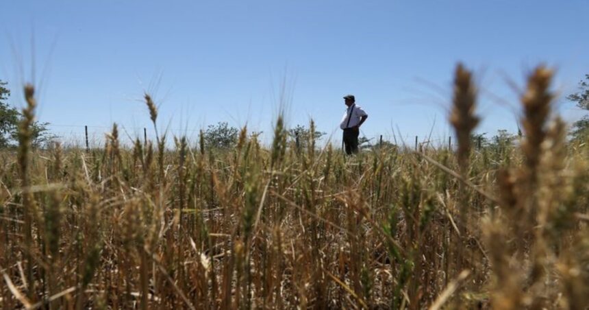 Cosecha de volumen, pero con márgenes ajustados y horizonte nublado