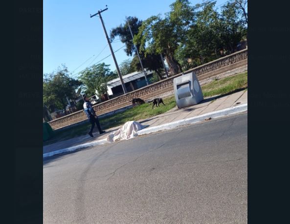 Accidente faltal: un motociclista atropelló a un anciano y falleció