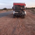 Nuevo accidente vial que involucra a los animales sueltos en la ruta provincial N°29
