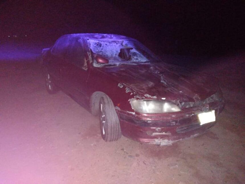Automovilista chocó con un animal suelto en Ruta N°74