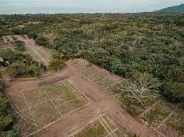 La justicia rechazó una demanda contra una empresa de ventas de lotes