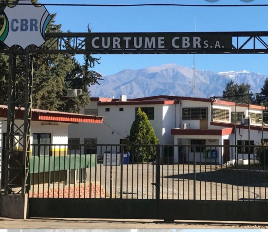 Curtume CBR SA: La ex dueña de la curtiembre de Nonogasta va a la quiebra Curtume CBR SA: La ex dueña de la curtiembre de Nonogasta va a la quiebra