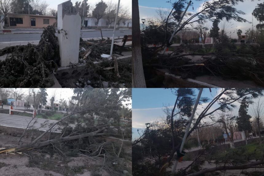 Guandacol: El viento zonda causó grandes estragos Guandacol: El viento zonda causó grandes estragos
