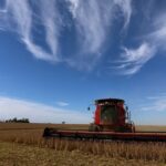 En mayo y de la mano del campo, la economía argentina rebotó después de 8 meses de caída