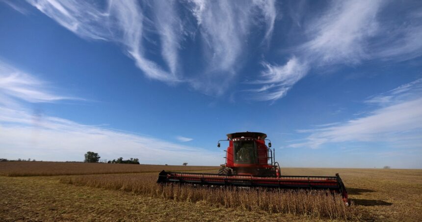 En mayo y de la mano del campo, la economía argentina rebotó después de 8 meses de caída En mayo y de la mano del campo, la economía argentina rebotó después de 8 meses de caída