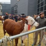 Kayne sumó un nuevo premio en la Expo Rural 2024